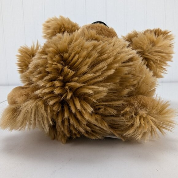 Collectors Choice Golden Brown Teddy Bear Plush Stuffed Animal 10" TB Toy New - Picture 10 of 12